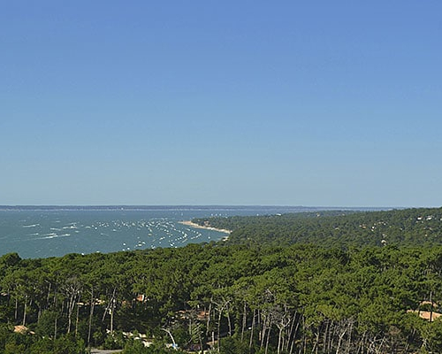 Terra Aventura dans les Landes