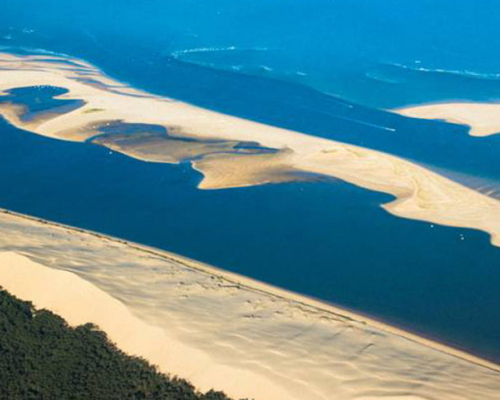 Le Banc d’Arguin, un paradis naturel à découvrir